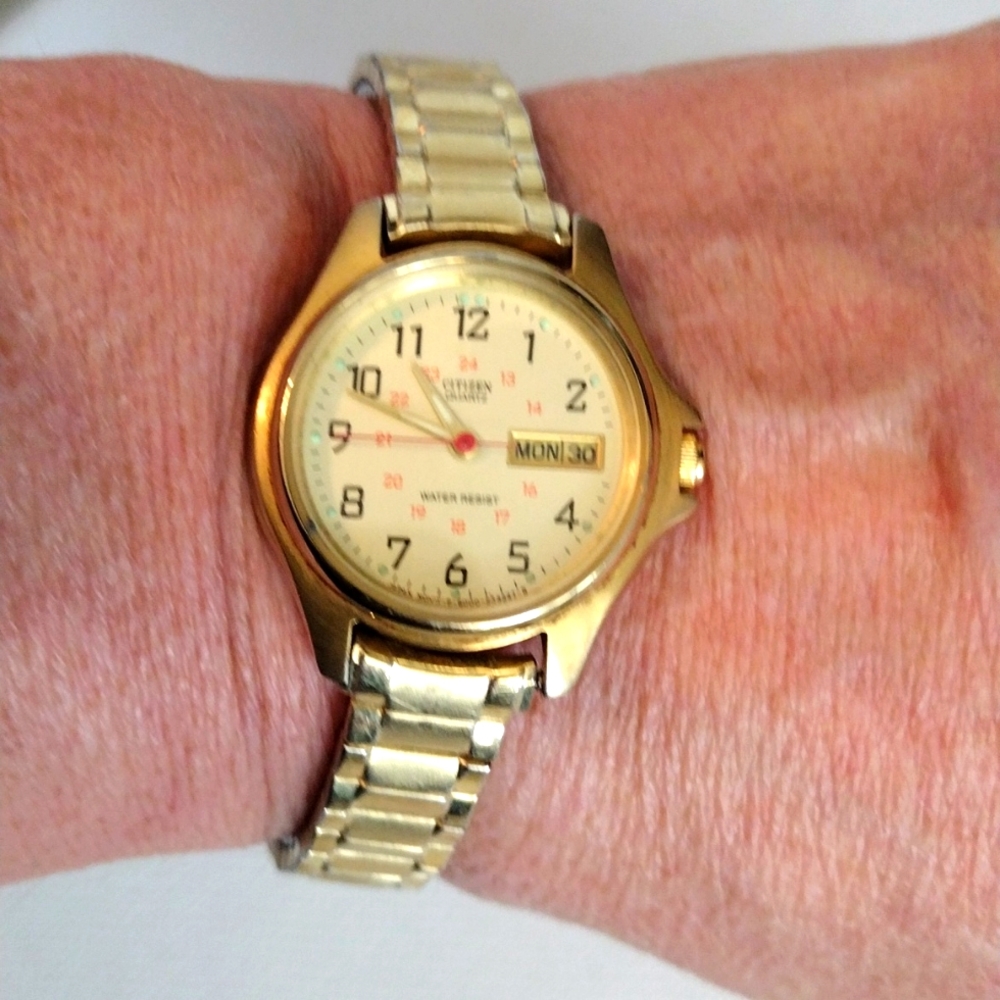 Citizen Quartz Water Resistant Watch.